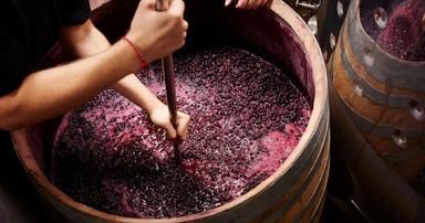 Como produzir um vinho tinto de qualidade