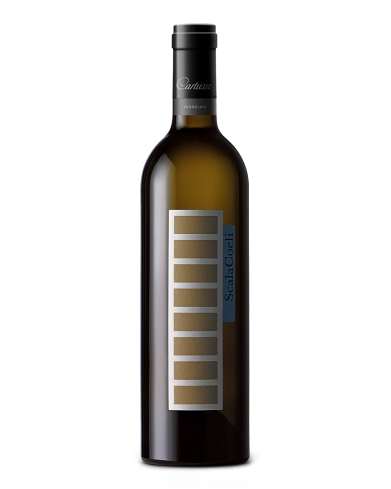 Scala Coeli Encruzado White 2019